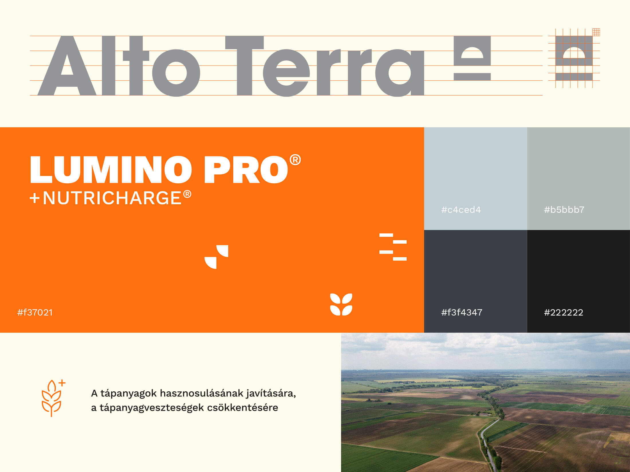 Alto Terra branding