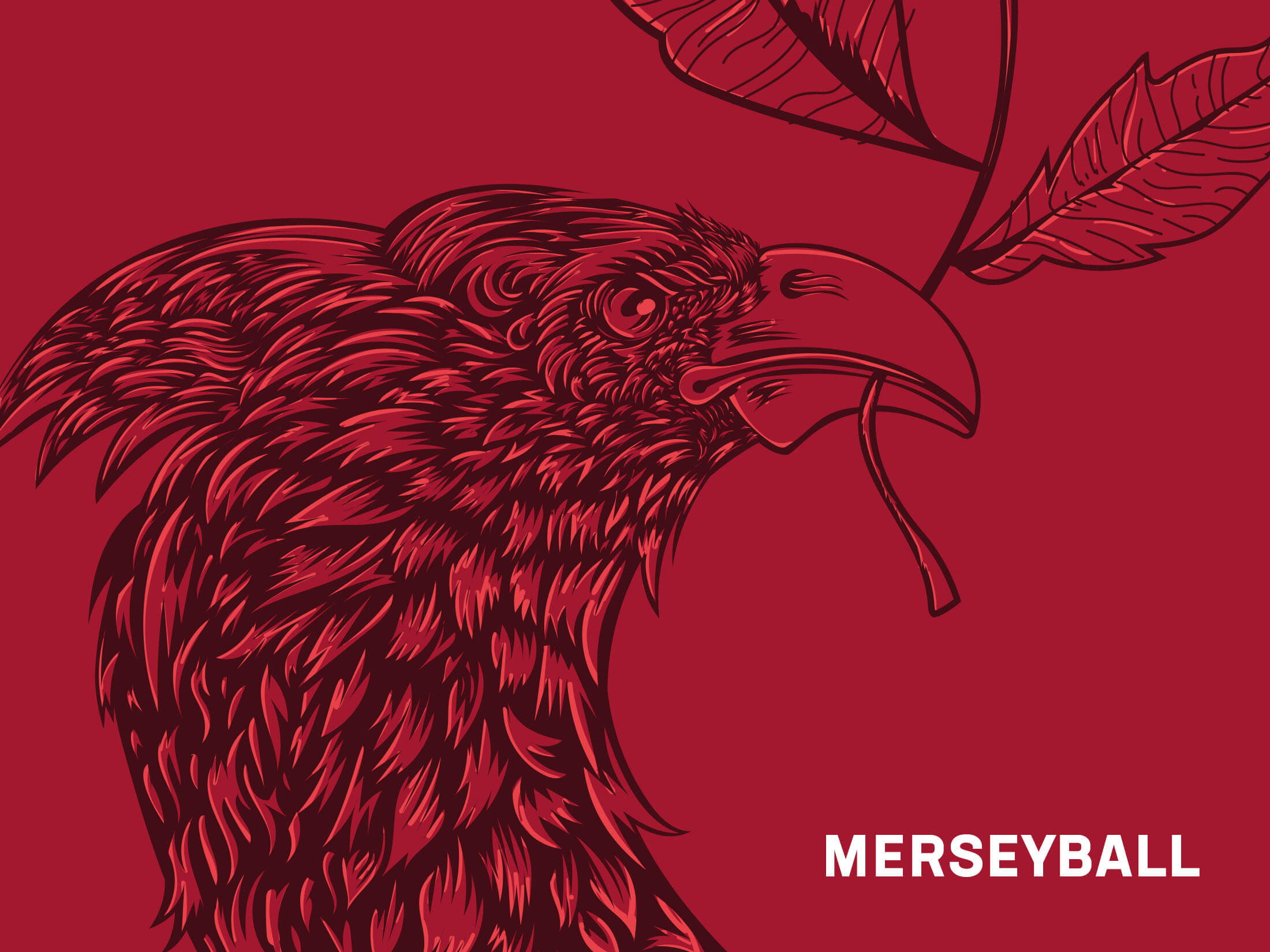 Merseyball book illustration