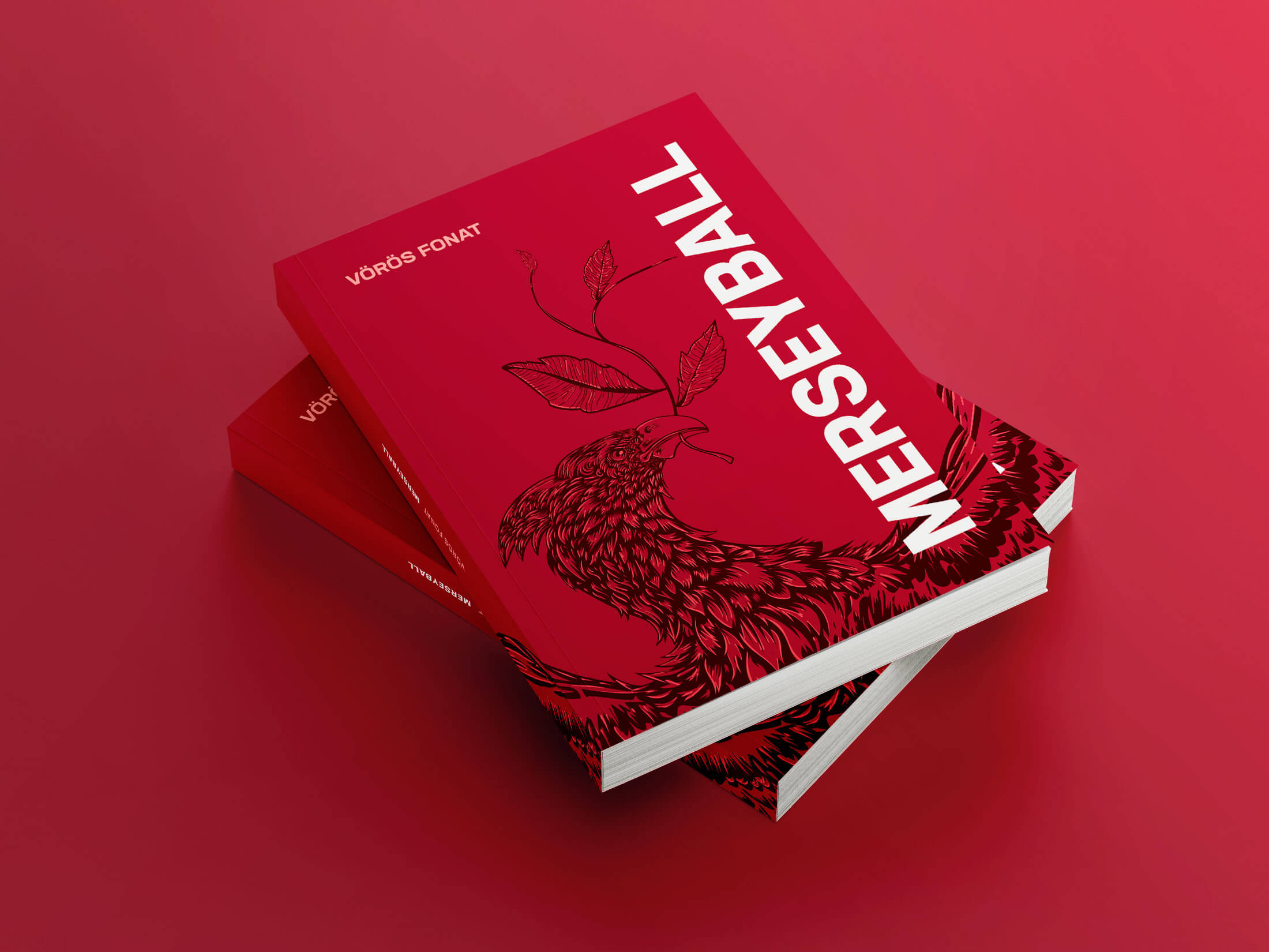 Merseyball book cover